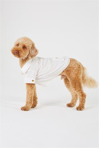 Monido White Dog Shirt - Gold Buttons and Pocket Detail