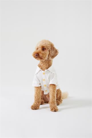 Monido White Dog Shirt - Gold Buttons and Pocket Detail