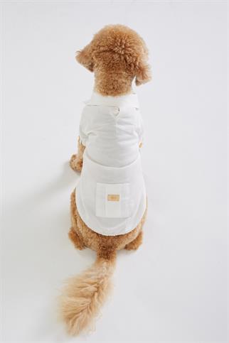 Monido White Dog Shirt - Gold Buttons and Pocket Detail