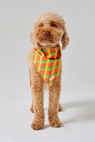 Monido Geometrik Desenli Köpek Bandana