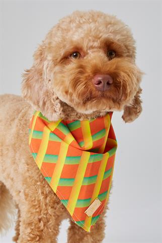 Monido Geometrik Desenli Köpek Bandana