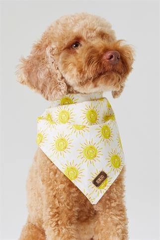 Monido Sun Patterned Dog Bandana