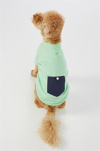 Monido Köpek Tişört - Mint Yeşili ve Puantiyeli Cep Detaylı