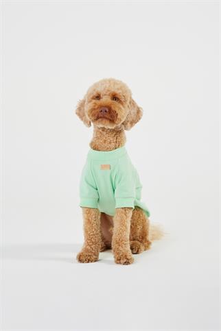 Monido Köpek Tişört - Mint Yeşili ve Puantiyeli Cep Detaylı