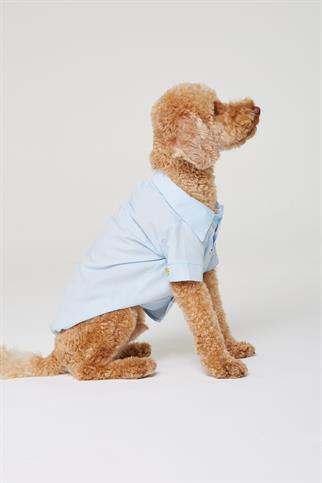 Monido Blue Dog Shirt - Gold Buttons and Pocket Detail