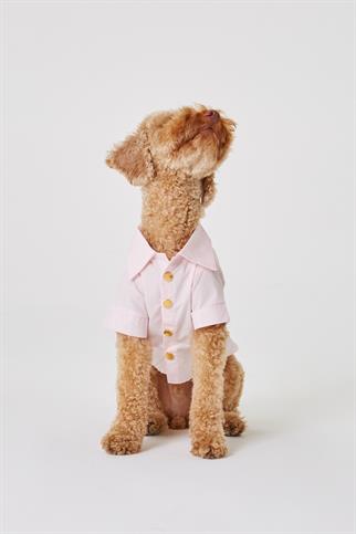 Monido Pink Dog Shirt - Gold Buttons and Pocket Detail