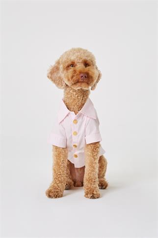 Monido Pink Dog Shirt - Gold Buttons and Pocket Detail