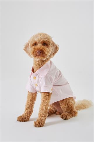 Monido Pink Dog Shirt - Gold Buttons and Pocket Detail