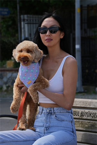 Monido Şeker Desenli Köpek Bandana