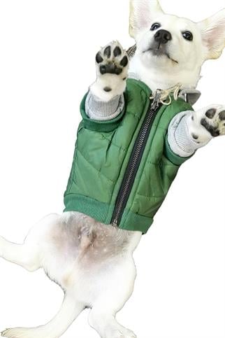 Mons Bons Puffer Yeşil Köpek Mont