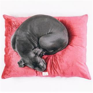 Mons Bons Velvet Stress-Free Dog Matter