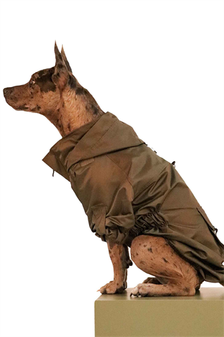 Muwa haki yağmurluk