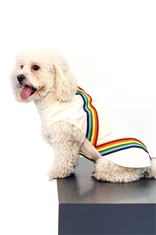 Muwa rainbow yağmurluk