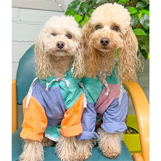 my Magic Robe Earth Puppy Köpek Bornozu