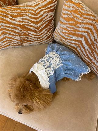 My Petit Paw Chanel Elbise