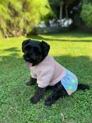 My Petit Paw Hoodie Elbise - Candy Crush Somon