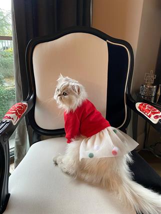 My Petit Paw Hoodie Elbise - Candy Crush Kırmızı