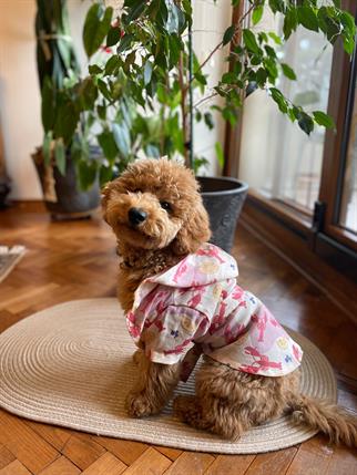 My Petit Paw Lobster Dog Bathrobe