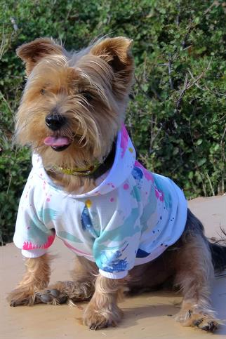 Oli and Lui Batik Desenli Sweatshirt