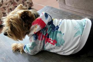 Oli and Lui Batik Desenli Sweatshirt