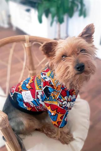 Oli and Lui Big Bang Köpek Sweatshirt