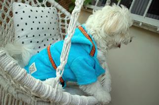 Oli and Lui Bonny Blue-Mavi Havlu Kumaş Köpek Bornozu
