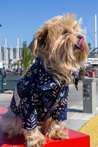 Oli And Lui Dark Blossom Köpek Gömleği