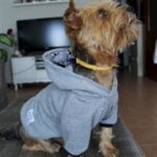 Oli and Lui Gray Sweathirt