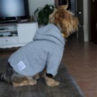 Oli and Lui Gray Sweathirt