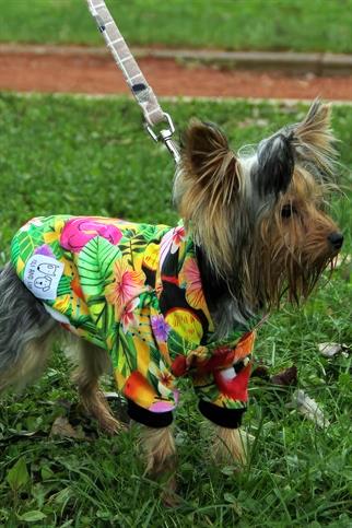 Oli and Lui Hawaii Köpek Sweatshirt