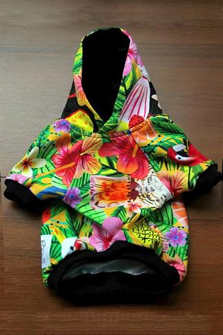 Oli and Lui Hawaii Köpek Sweatshirt