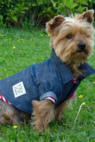 Oli And Lui Jean-Kot Fabric Dog Shirt