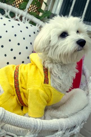 Oli and Lui Lemon Köpek Bornozu