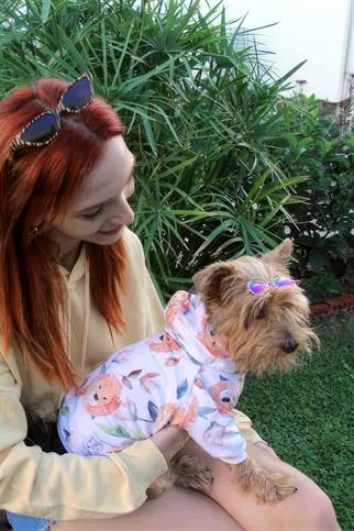 Oli and Lui Lion Köpek Sweatshirt