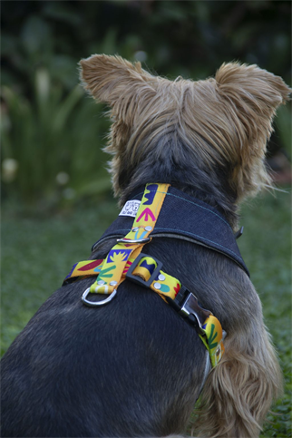 Oli and Lui Matisse Dog Harness