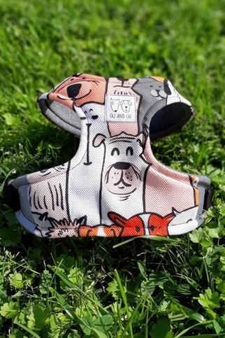 Oli And Lui Orange Dog Breast Collar