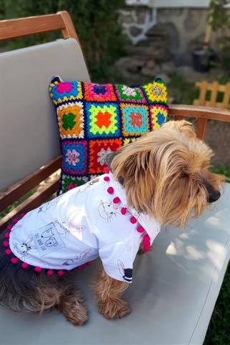 Oli And Lui Rabbit Köpek Gömleği