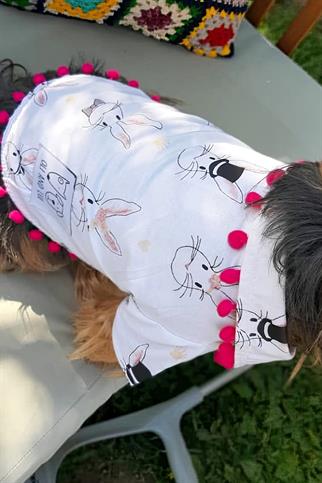 Oli And Lui Rabbit Köpek Gömleği