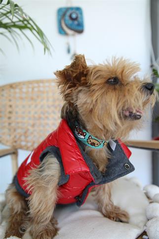 Oli and Lui Sax Kırmızı Köpek Montu