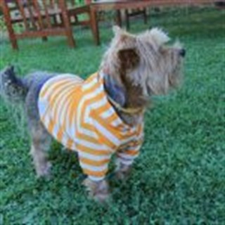 Oli and Lui Stripy Köpek Swetshirt