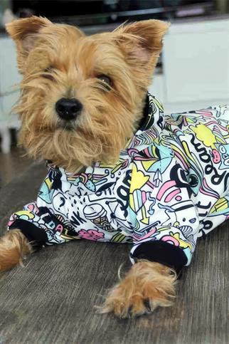 Oli and Lui Think Köpek Sweatshirt