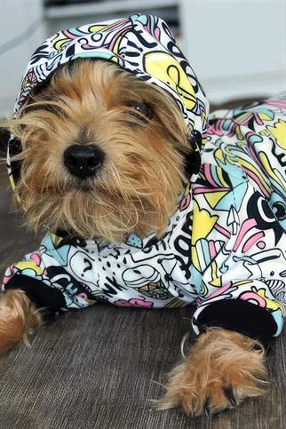 Oli and Lui Think Köpek Sweatshirt