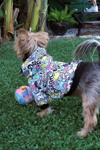 Oli and Lui Think Köpek Sweatshirt