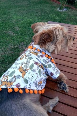 Oli And Lui Tiger Ponponlu Köpek Gömleği