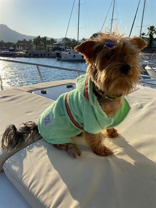 Oli and Lui Yeşil Köpek Bornozu