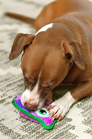 Outward Hound Durablez Sert Peluş Gıcırtılı Köpek Oyuncağı Baykuş Mor 