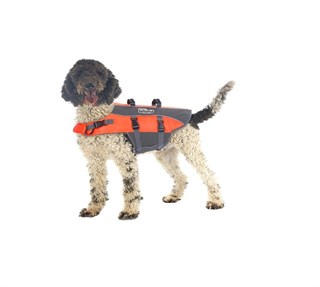Outward Hound Pupsaver Dog Life Vest Xl