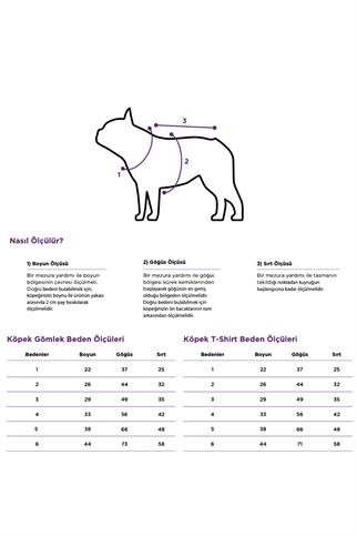 Paisley Gömlek Kombini