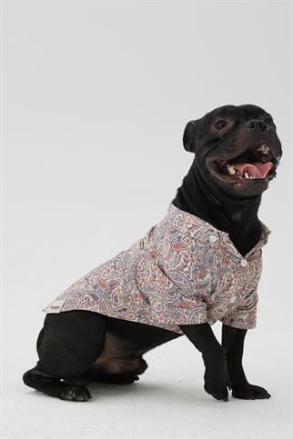 Hypet Fashion Paisley Köpek Gömleği