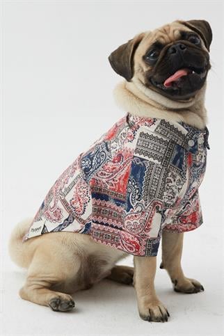 Hypet Fashion Patchwork Köpek Gömleği 